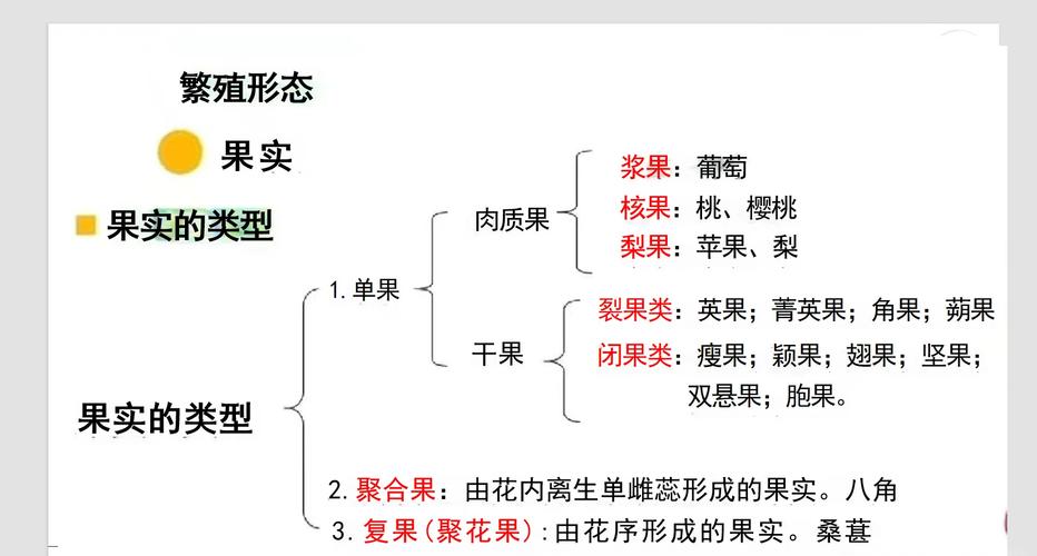 果实:一场跨越亿万年的高级骗局-因为所以