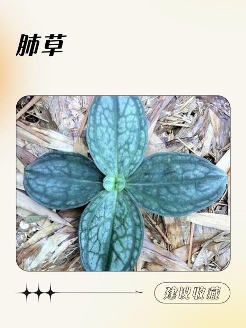 🌿 环保与验收:别把毒气吸进肺里