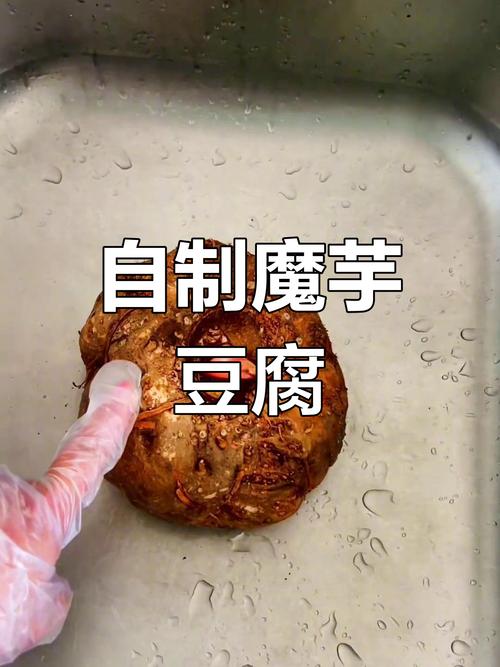 亲手体验做手工魔芋的乐趣