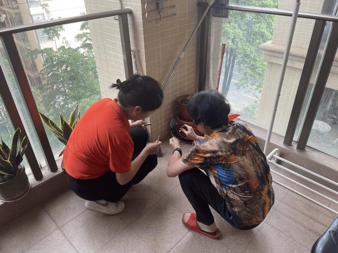 居家阳台花盆托盘清理蚊虫滋生实拍