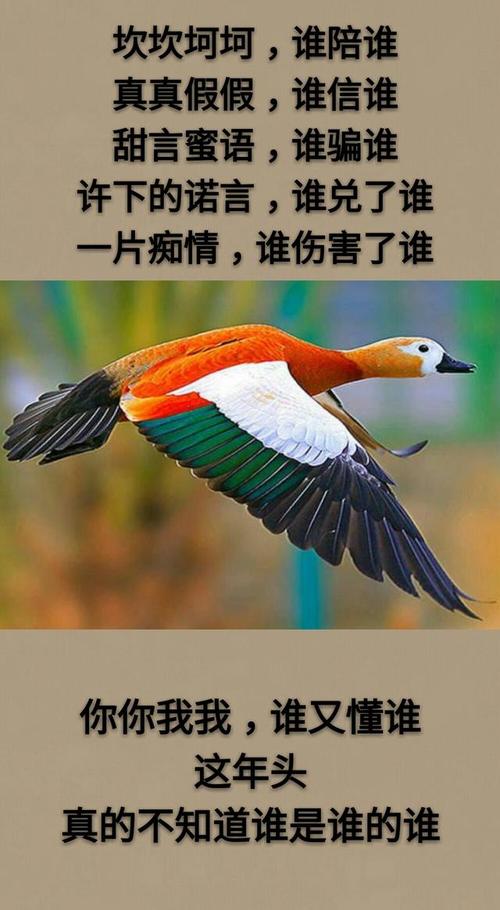 别不信,你身边一半东西都出过它的手