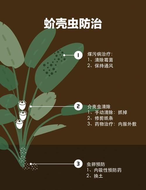 怎么用绿植防虫更靠谱