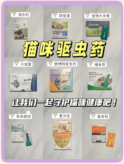 家庭常用宠物驱虫药分类摆放图