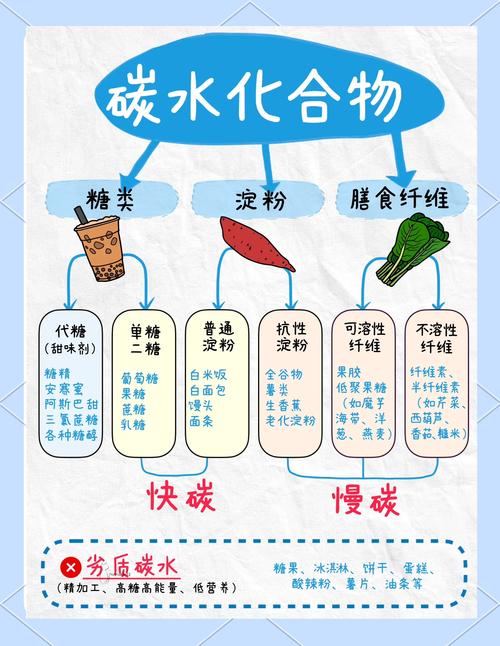 碳水的真相:你真的懂它吗?