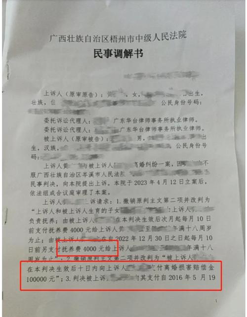 婚姻纠纷律所处理抚养权案件的证据材料归档盒实拍