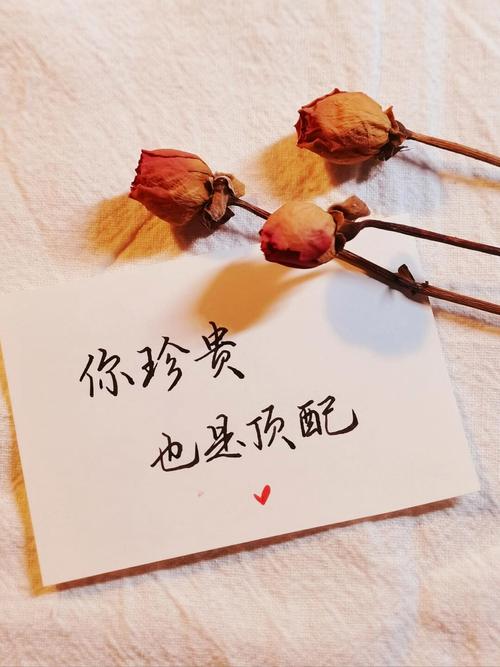 最珍贵的，是你给的专属印记