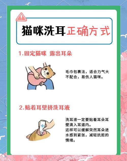 宠物医生示范猫咪洗耳操作图