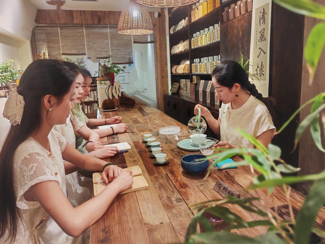 老茶人茶室讲解茶艺与茶道区别场景