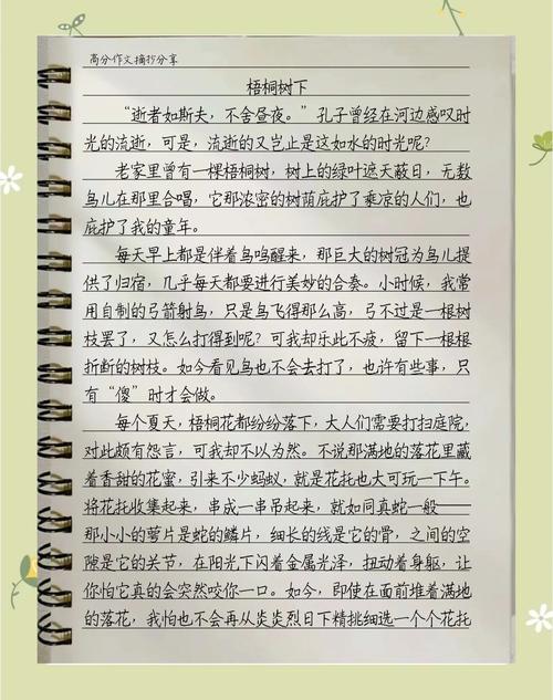 家庭旧书桌上夹梧桐叶的小学旧作文本