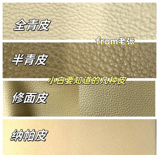 水滴测试全粒面真皮吸水性对比图