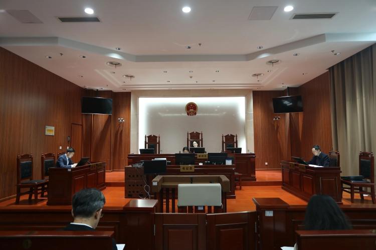 法院庭审实验数据分析质证现场