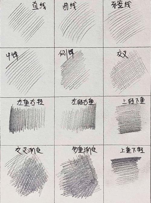 素描排线练习范例图
