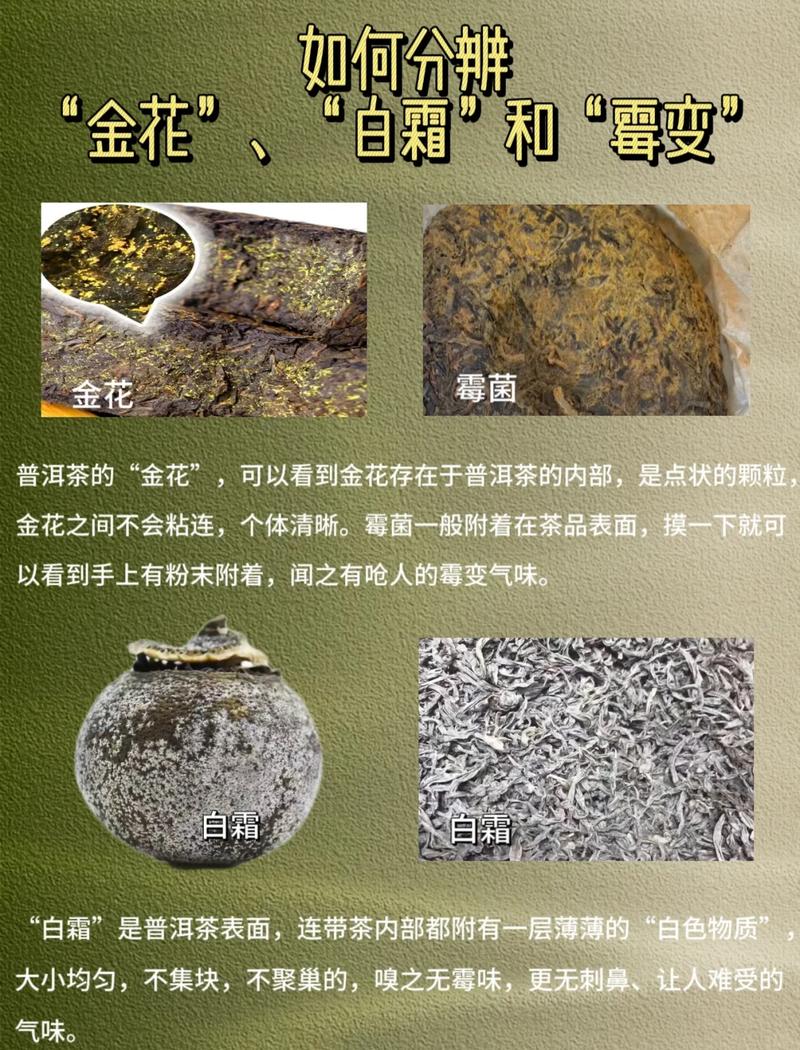 变质颜色发黄的花茶与新鲜花茶对比