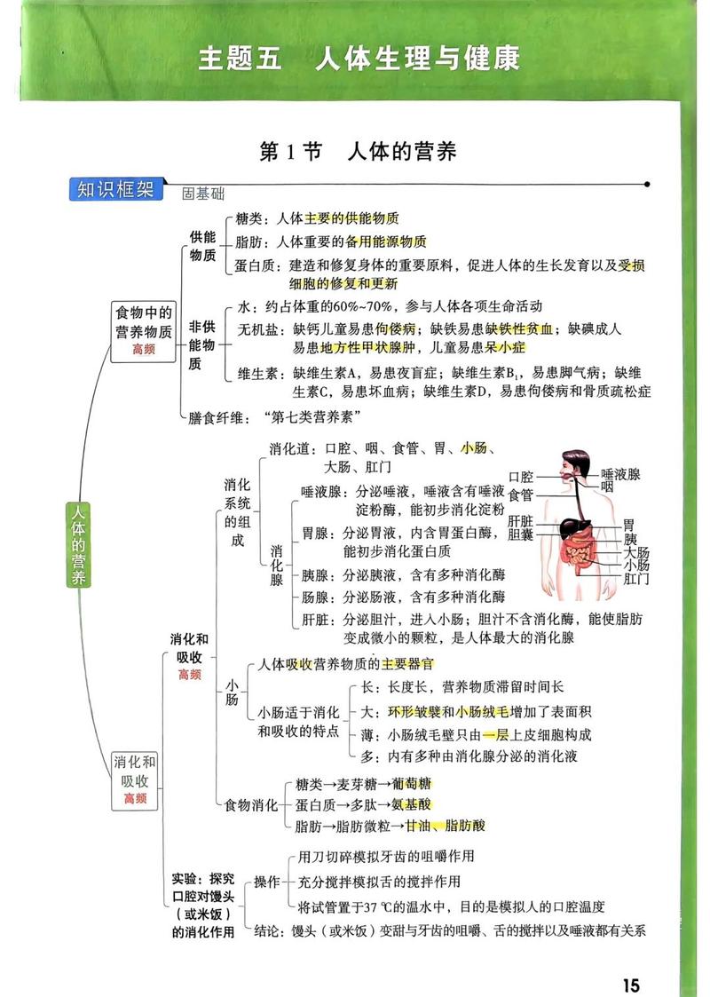 健康档案整理核心要素思维导图