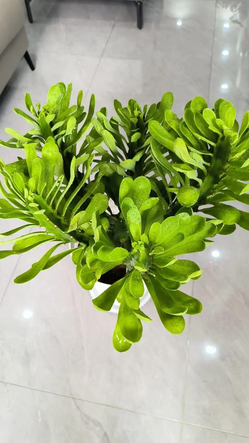 入门阶段没必要碰的那些花活
