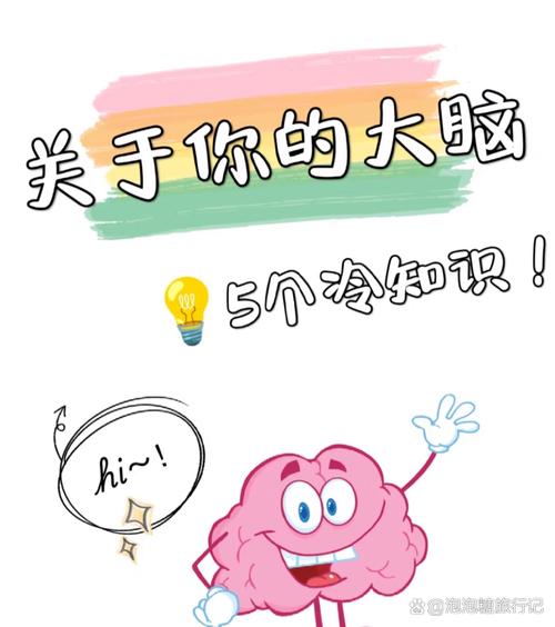 别被“最强大脑”骗了