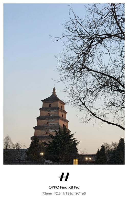 西安大雁塔冬季光影