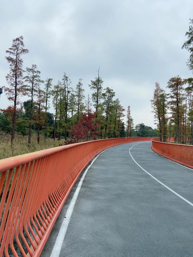 成都天府绿道骑行道实景