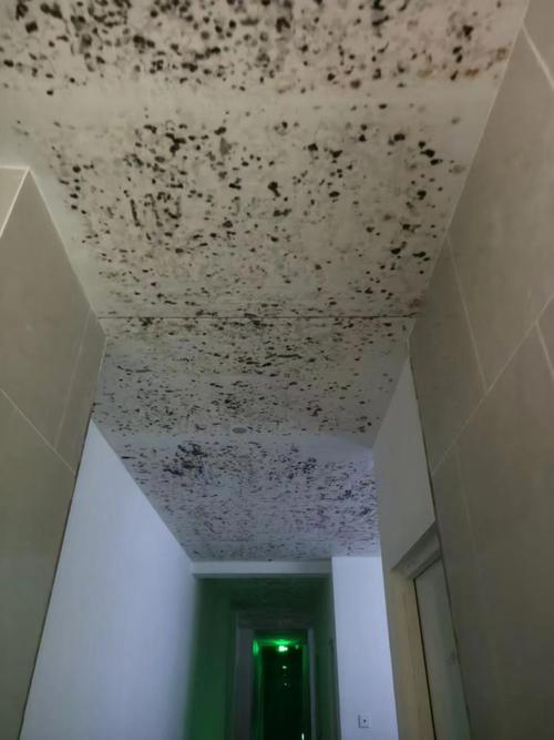 一楼地下室墙面泛白发花实景图