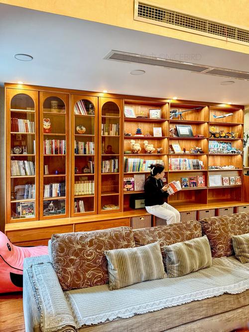 家庭学习氛围 孩子在家里书架前阅读