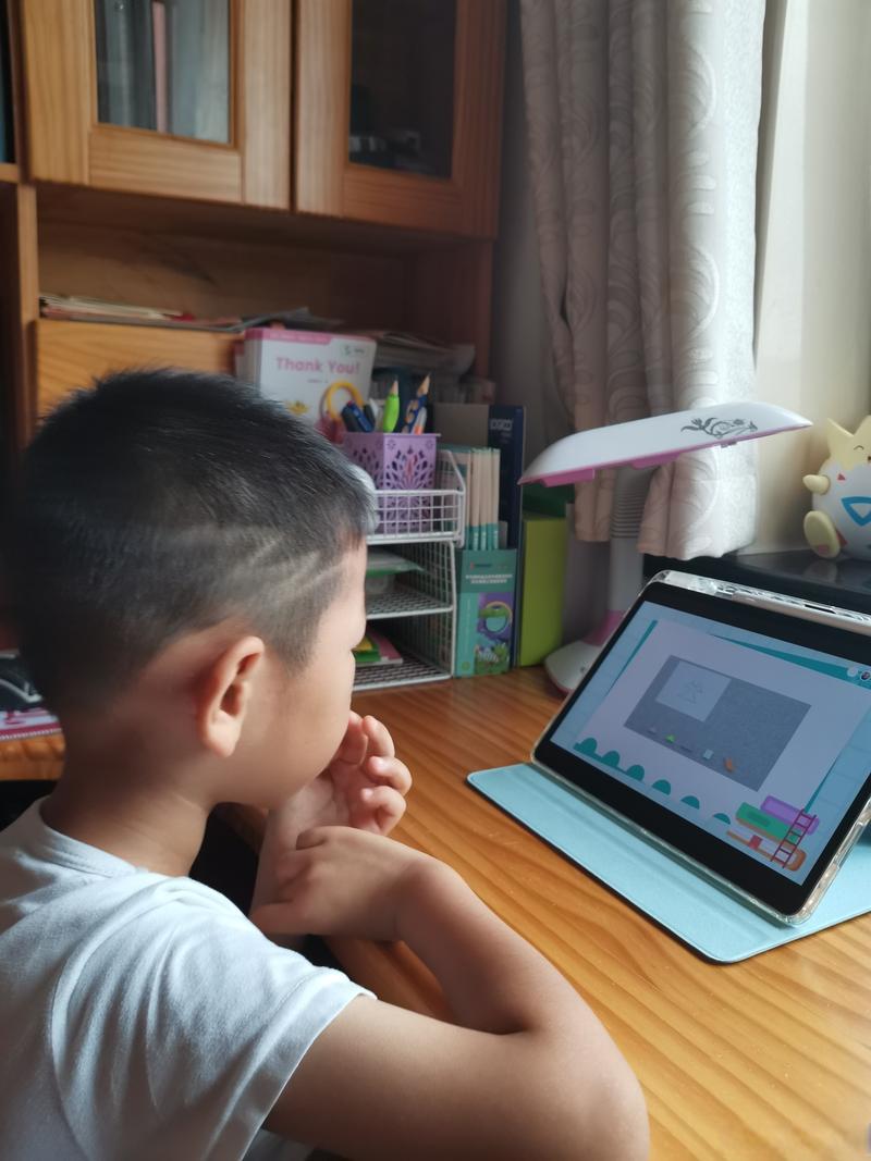 小学生在家观看翻转课堂微课视频学习场景