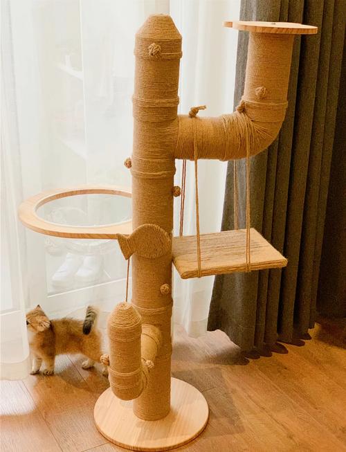 挑对猫爬架，只需要抓准三个核心