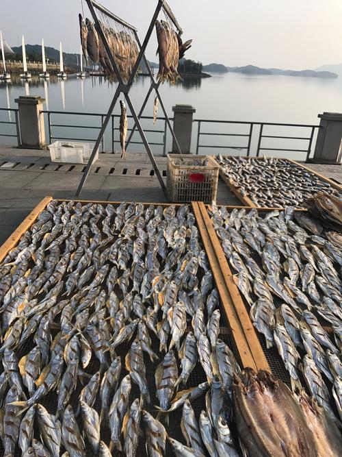 秋浦河沿岸坡地上晾晒的臭鳜鱼