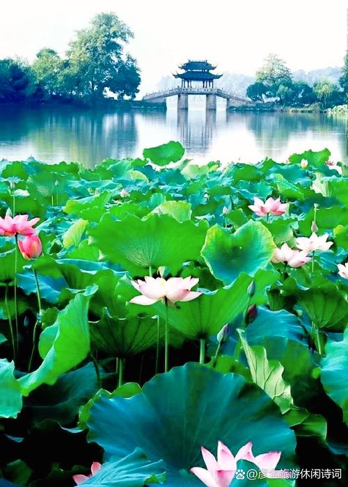 三、双桥与南湖:在最美的地方,克制你的脚步