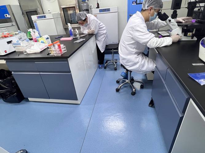 科研助理在堆满试剂的实验室操作显微镜