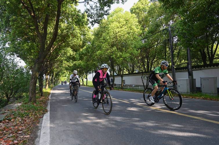 平原乡道骑行树荫土路场景