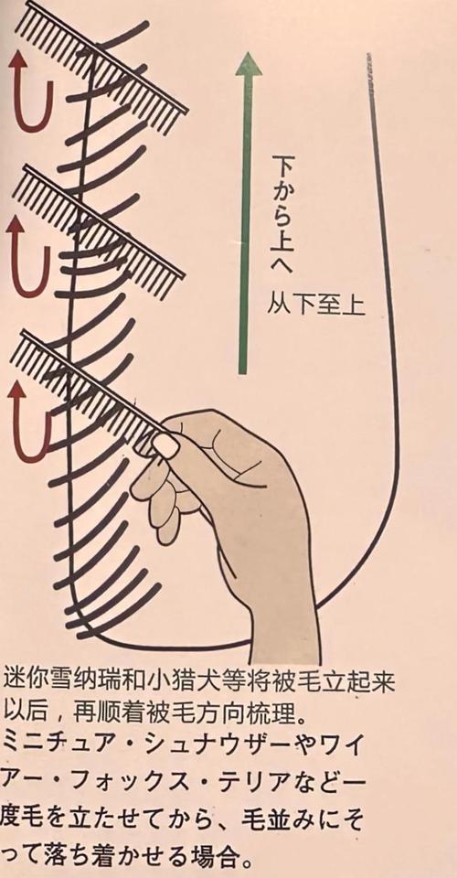不同情况,不同挑法