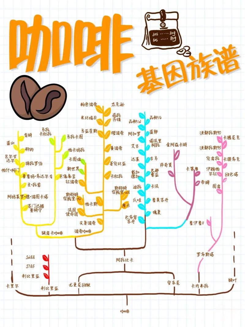咖啡豆:别再被酸味和苦味骗了-因为所以