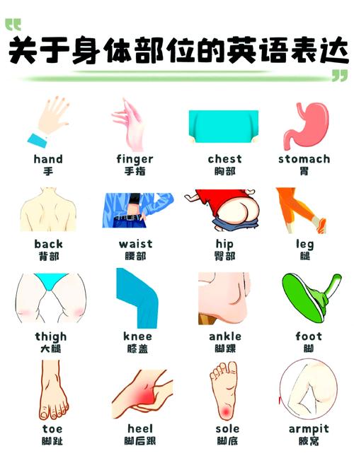亲子英语启蒙家庭指认身体部位head场景图