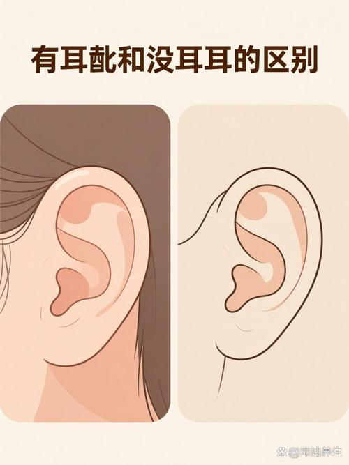 婴儿耳垂遗传特征对比图
