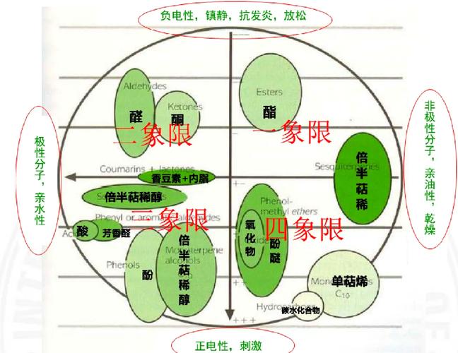 普通化学香氛与草本除味分子作用路径对比示意图