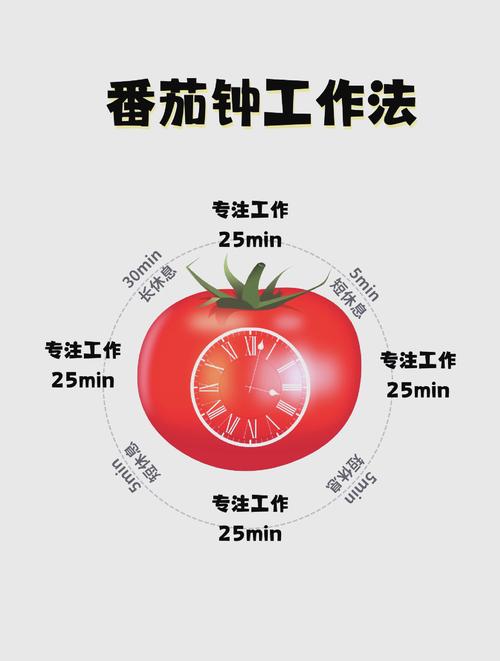 标准番茄工作法周期流程表