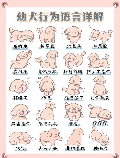 犬类微表情解析 恐惧与焦虑的肢体信号对比图