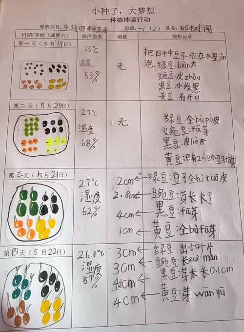 小学生在玻璃鱼缸边记录水生态实验的观察笔记