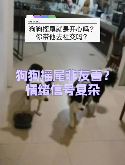 别信