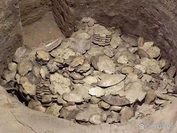 殷墟旧甲骨修复台残留刷粉粉尘