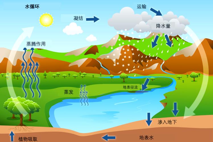绿洲：在沙海与心海之间-因为所以