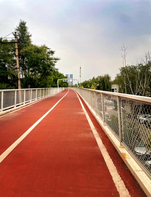 城市河边绿道行人自行车隔离带实景照片