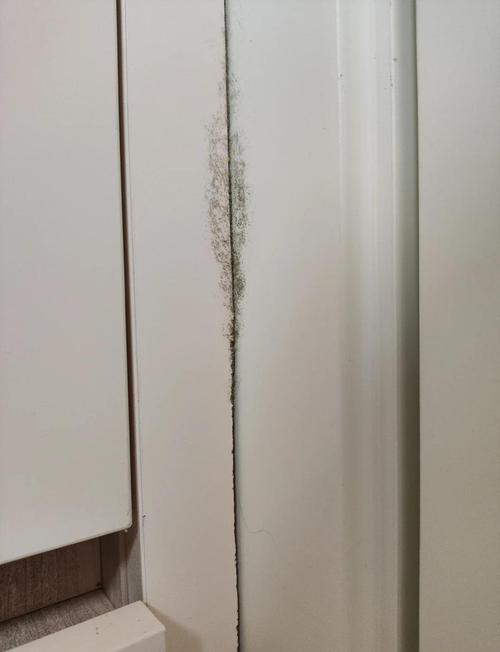 杭州梅雨季发霉的家用衣柜内层