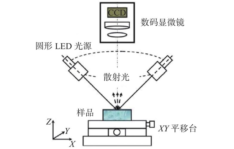 暗场显微镜成像原理示意图
