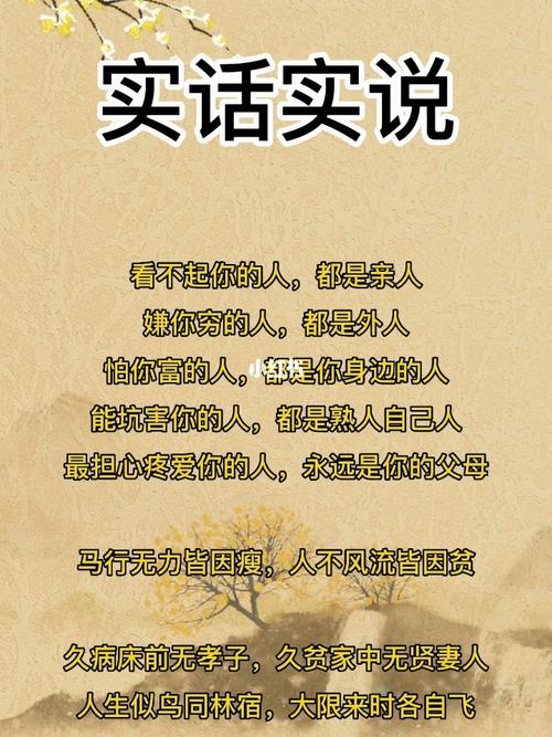 最后说几句大实话