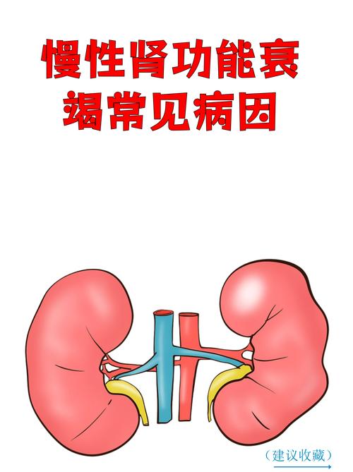 纳污容量:被忽视的寿命因子