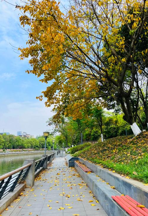 阴天城市滨江绿道散步场景图