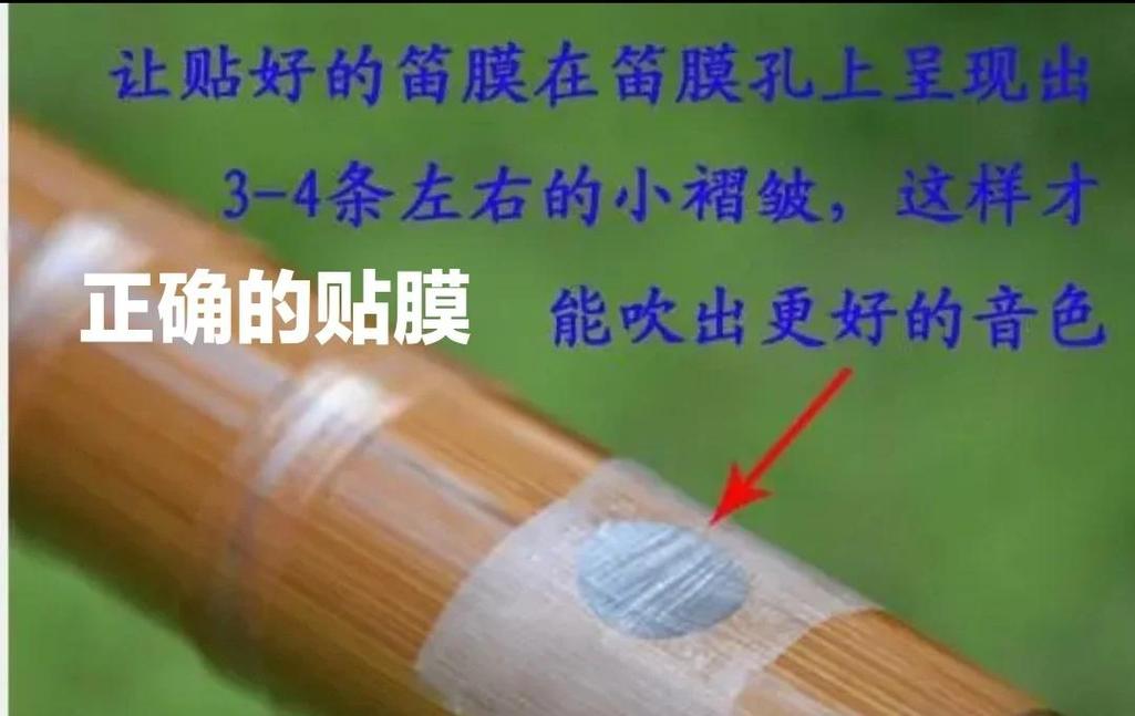 中国竹笛笛膜特写与六孔结构图
