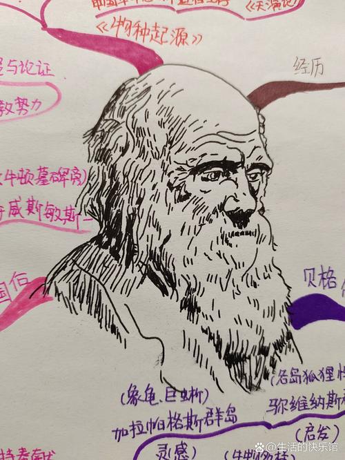 手绘达尔文进化论基础核心逻辑图