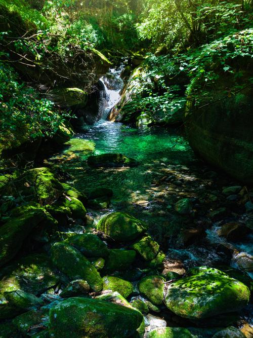 南漳漳河源蓝绿色溪流原始山林